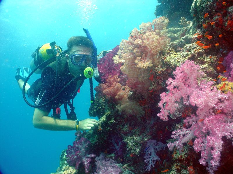 liveaboard diving in fiji