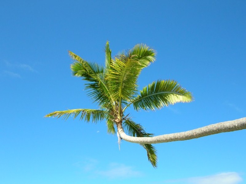 sunny weather in fiji