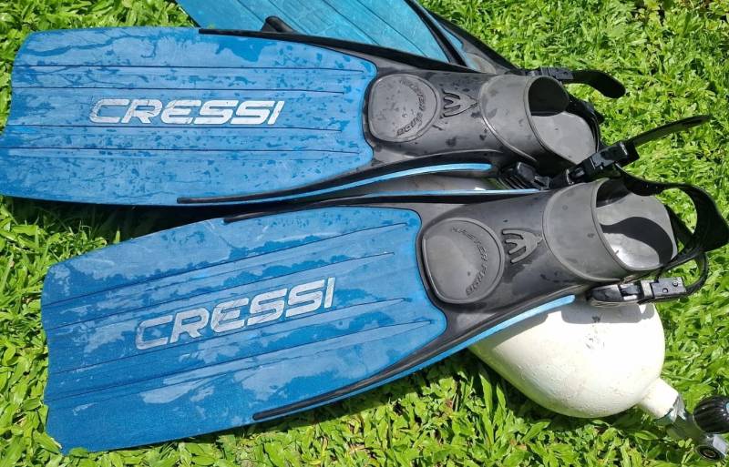 cressi master frog fins